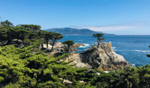 17 Mile Drive.