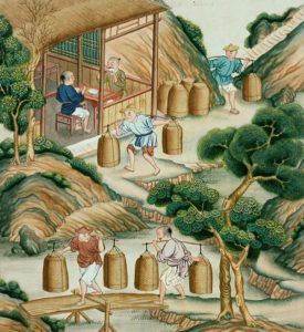 Carrying (15). From the album Tea Production, ca. 1790. Gouache, watercolor, ink, silk on Chinese paper. Historic Deerfield Inc. (HD 56.428). Titles and the number in parentheses indicate inscriptions and sequence of image in the album. All images are courtesy of Historic Deerfield.