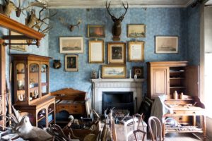 Calke Abbey. A Bedroom displaying a portion of the collection of taxidermy. Courtesy of the National Trust.