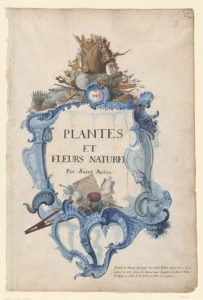 Figure 1. Charles-Germain de Saint-Aubin, “Plantes et Fleurs Nature[lles] par Saint Aubin”, 1740. The Morgan Library & Museum 1956.13. Purchased as the gift of the Fellows.
