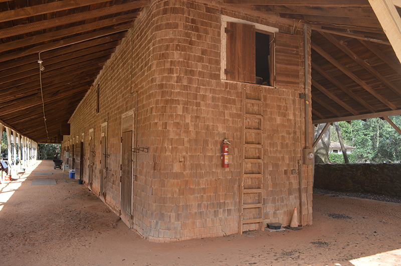 Figure 1. Interior of Thomas Hitchcock Sr.’s c. 1896 thoroughbred training barns constructed to house steeplechasing horses on his estate near Aiken’s Hitchcock Woods. Photograph by Mary C. Fesak.