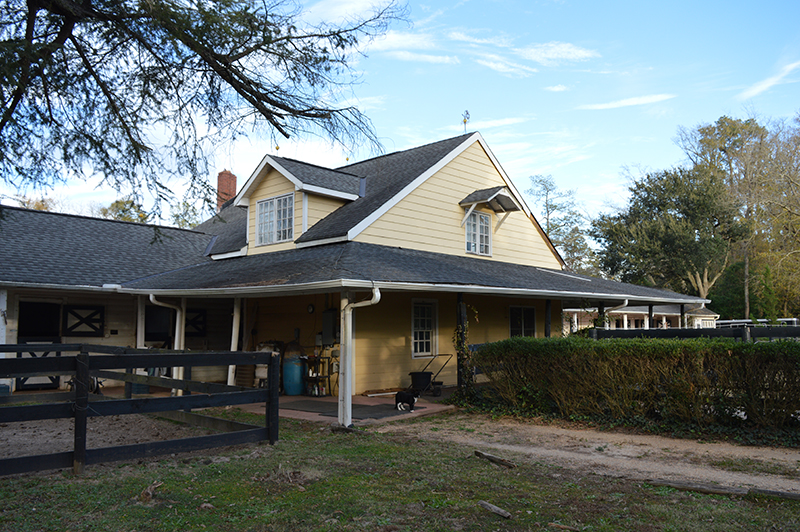 Figure 3. In the mid-20th century, Aiken track manager Ira Coward likely added a tack room with a covered walking area to the front of this c. 1930 polo barn on Orangeburg Street to facilitate the stable’s conversion to a thoroughbred training barn. Photograph by Mary C. Fesak.