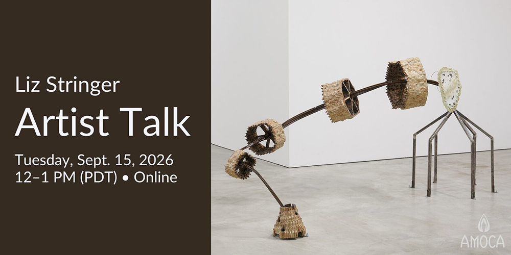 Virtual Artist Talk with Liz Stringer