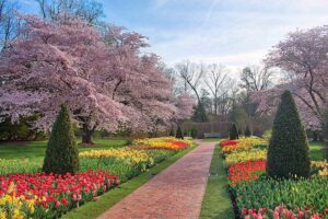 Longwood Gardens, courtesy of Longwood Gardens, photo by Scott Hummel.