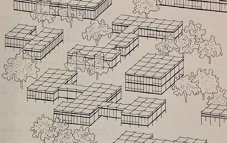 Ulm’s Development Pedagogy