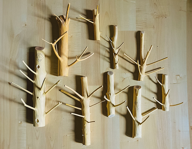 Recycling Your Christmas Tree: Hooks and Things