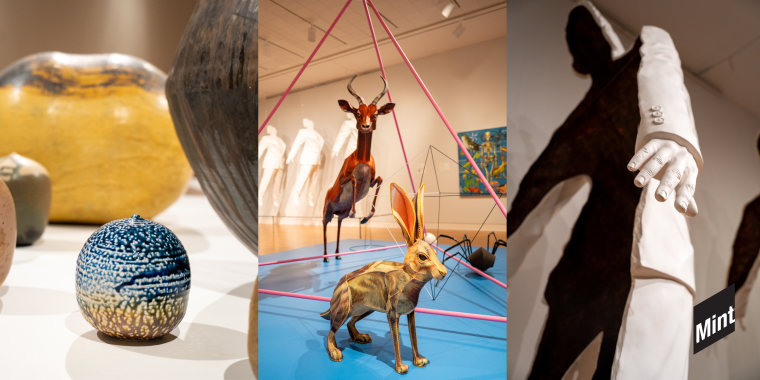 Members-Only Tour of Permanent Collection: Trotman, Lemanski, and Takaezu
