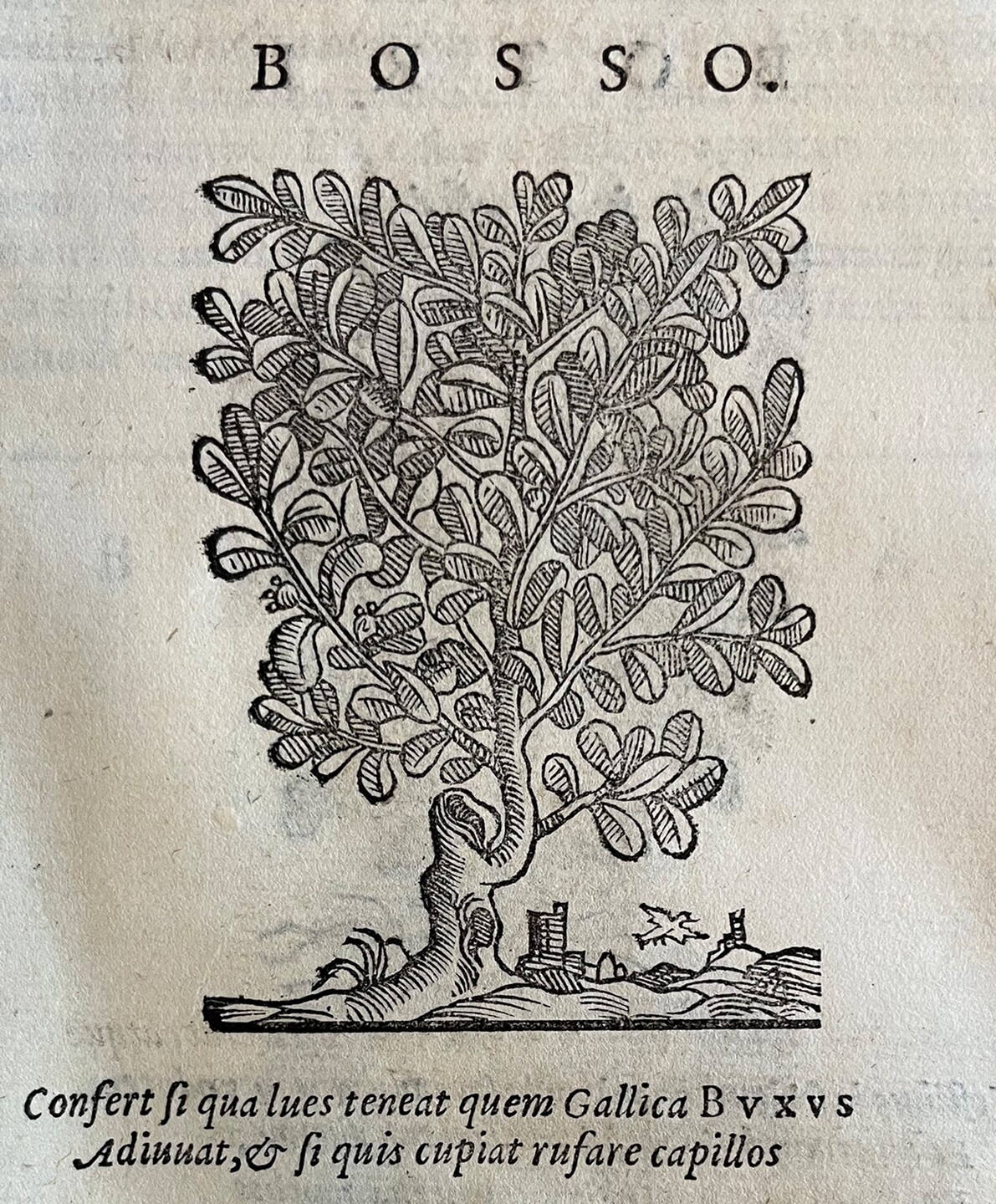 Center research talk: The Parasole Woodblock Carvers in Early Modern Rome