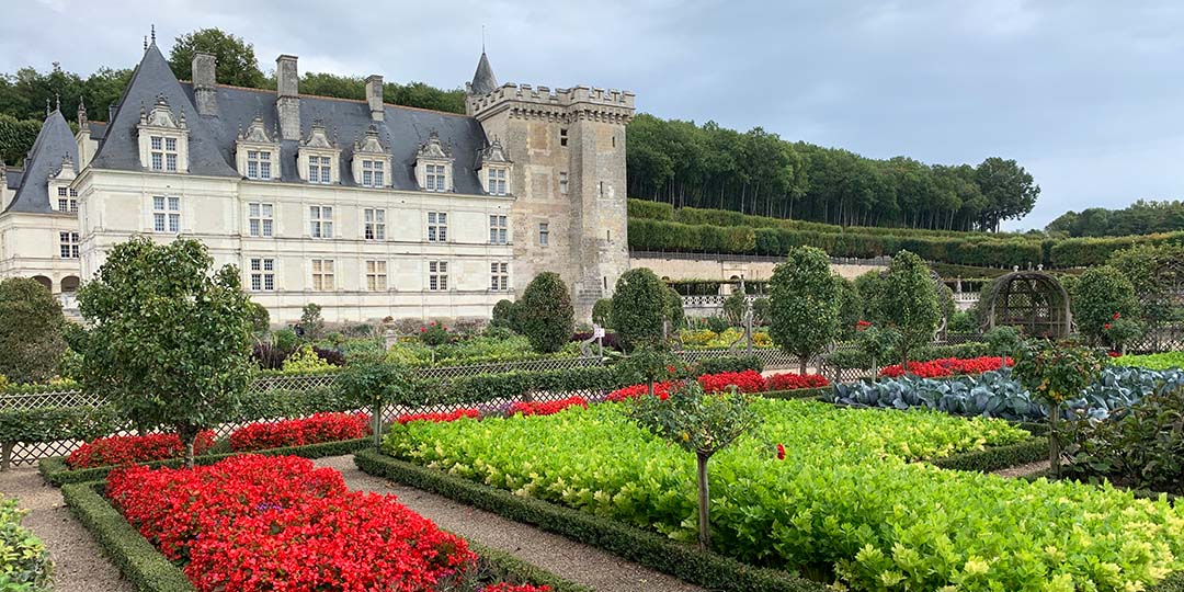 From Château to Vineyard:  The Lower Loire Valley