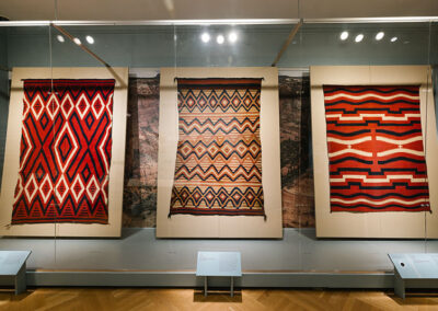 Figure 3. The exhibition explores the notion of Traditional Ecological Knowledge, a uniquely indigenous approach to understanding relationships between living beings—plants, humans, sheep—and their surrounding environment. The designs, fibers, and dyes that make up these weavings demonstrate the Diné artist’s expertise, individuality, imagination, and profound understanding of their landscape.