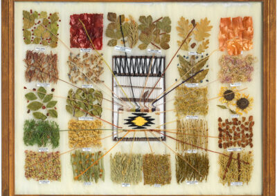 Figure 4. This Navajo dye chart by Roselyn Washburn (Diné) connects each colored yarn to a sample of the dried plant used to make its dye.