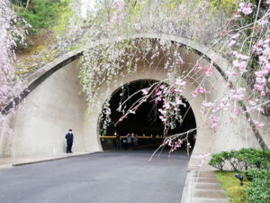 Miho Museum.