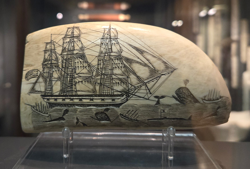 Figure 2. Scrimshaw by the first American schrimshander, Edward Burdett (1805–33), likely created 1822–33 at sea. Sperm whale tooth. Nantucket Whaling Museum.