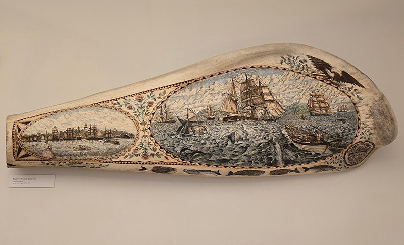 Figure 3. David Lazarus, Modern example of scrimshaw, 1970s–90s, Nantucket. Whalebone. Hadwen House.