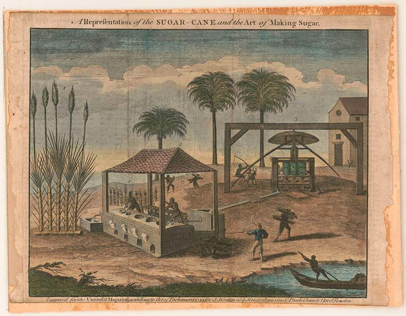 Figure 3. John Hinton, “A Representation of the Sugar-Cane and the Art of Making Sugar,” published in Universal Magazine, London, 1749. Collection of the Library of Congress.