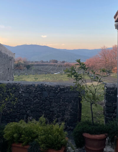 Tenuta Tascante.