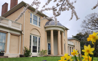 Founding Fortunes: The Estate Sale of Martha Washington Virtual Tour