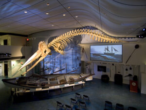 Whaling Museum gallery. Photo by Asknha1894.