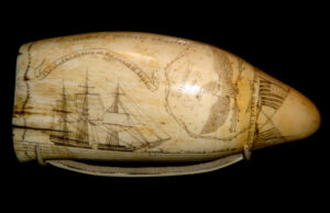 Scrimshaw by Frederick Myrick, Whaling Museum. Photo by merlynne6.
